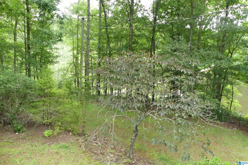This is a spacious home with 13.55 acres with unlimited rental - photo 41