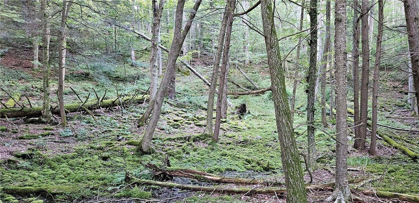 94 ACRES WITH PANORAMIC VIEWS, PRIVACY AND WATER: This - photo 15