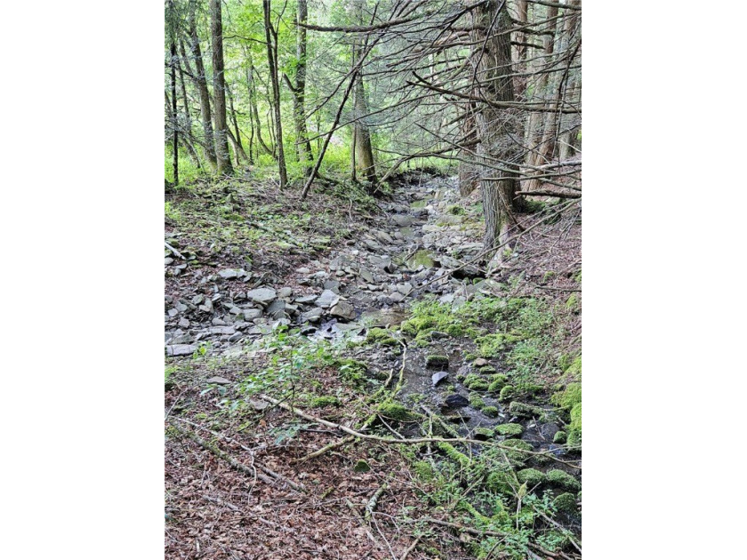 94 ACRES WITH PANORAMIC VIEWS, PRIVACY AND WATER: This - photo 17