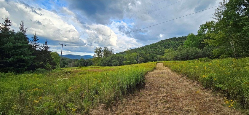 94 ACRES WITH PANORAMIC VIEWS, PRIVACY AND WATER: This - photo 18