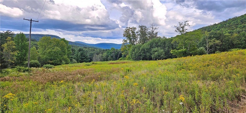 94 ACRES WITH PANORAMIC VIEWS, PRIVACY AND WATER: This - photo 19