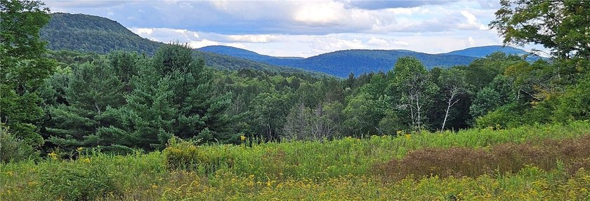 94 ACRES WITH PANORAMIC VIEWS, PRIVACY AND WATER: This - photo 21