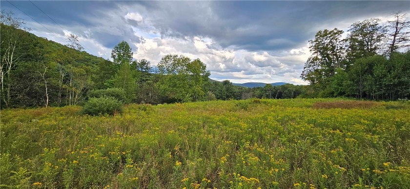 94 ACRES WITH PANORAMIC VIEWS, PRIVACY AND WATER: This - photo 22