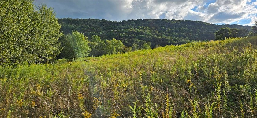 94 ACRES WITH PANORAMIC VIEWS, PRIVACY AND WATER: This - photo 23