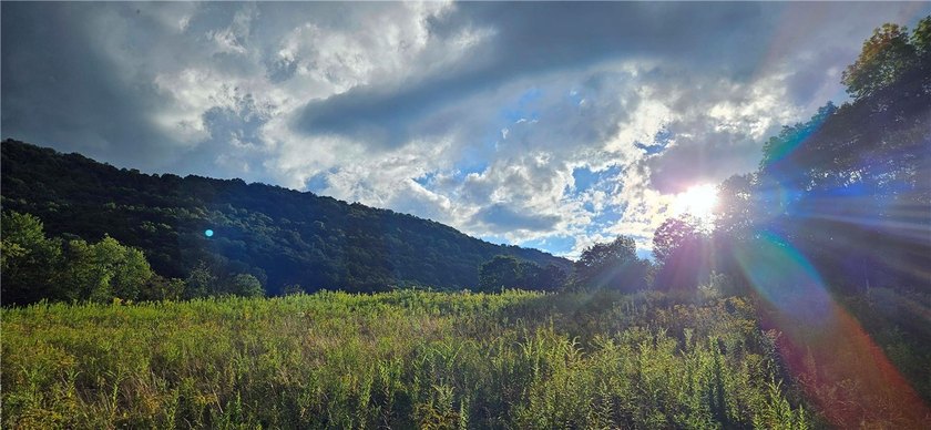 94 ACRES WITH PANORAMIC VIEWS, PRIVACY AND WATER: This - photo 24