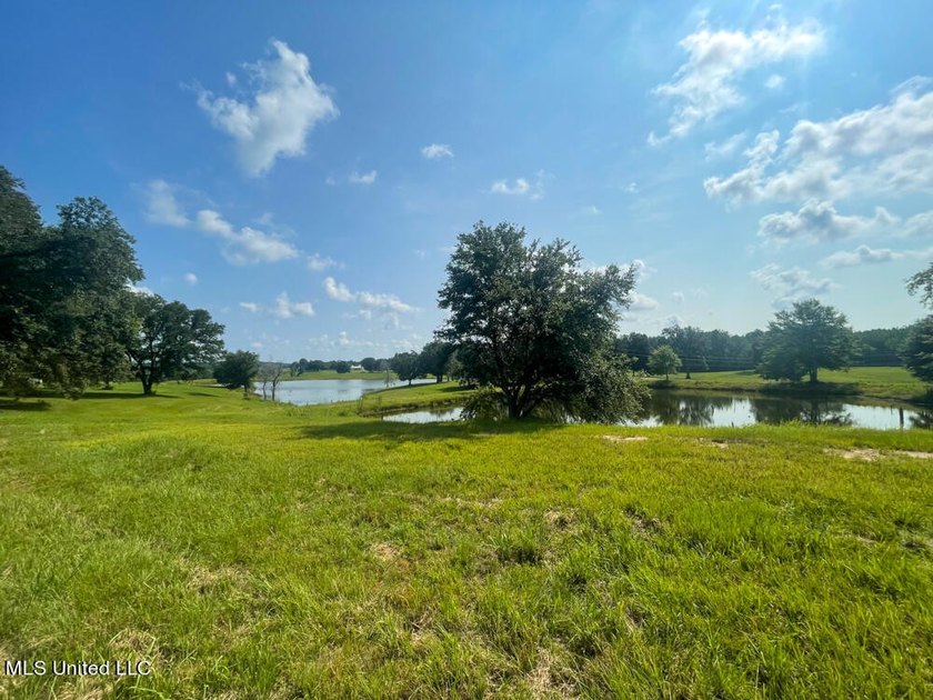 Lake front lots in a beautiful new Subdivision on Highway 63 - photo 32