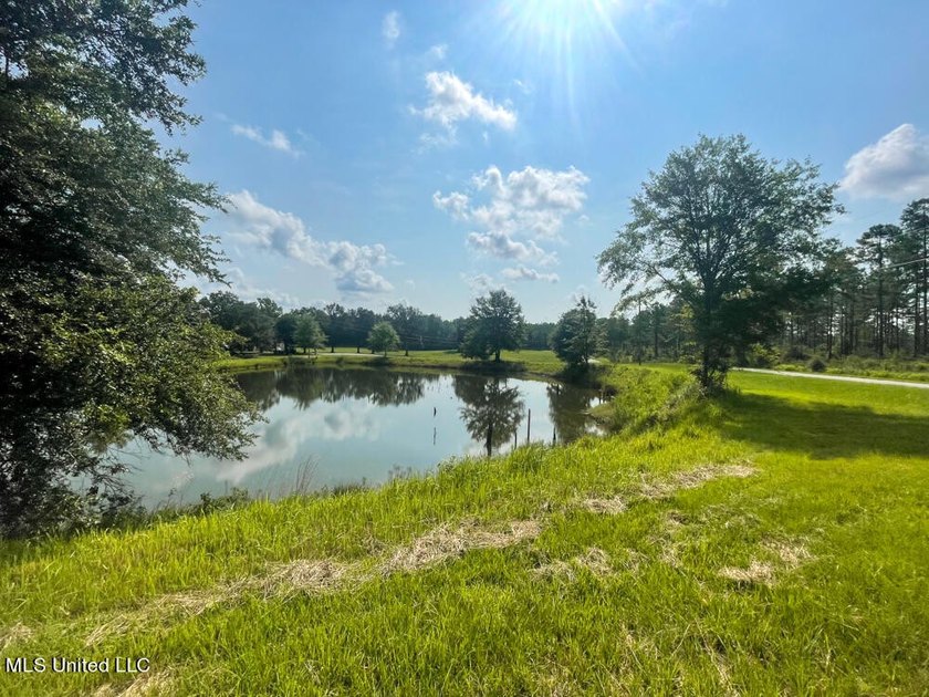 Lake front lots in a beautiful new Subdivision on Highway 63 - photo 35