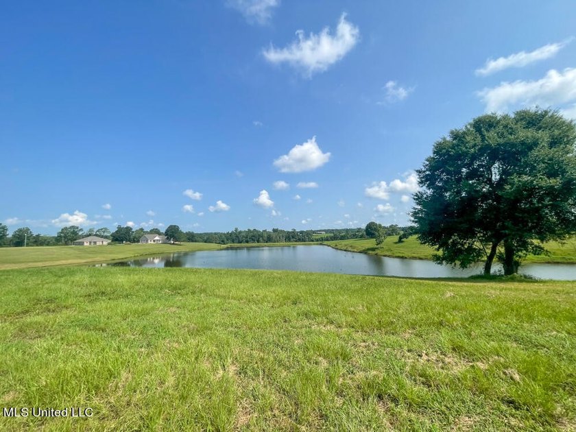 Lake front lots in a beautiful new Subdivision on Highway 63 - photo 44