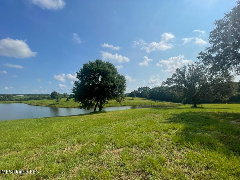 Lake front lots in a beautiful new Subdivision on Highway 63 - photo 48