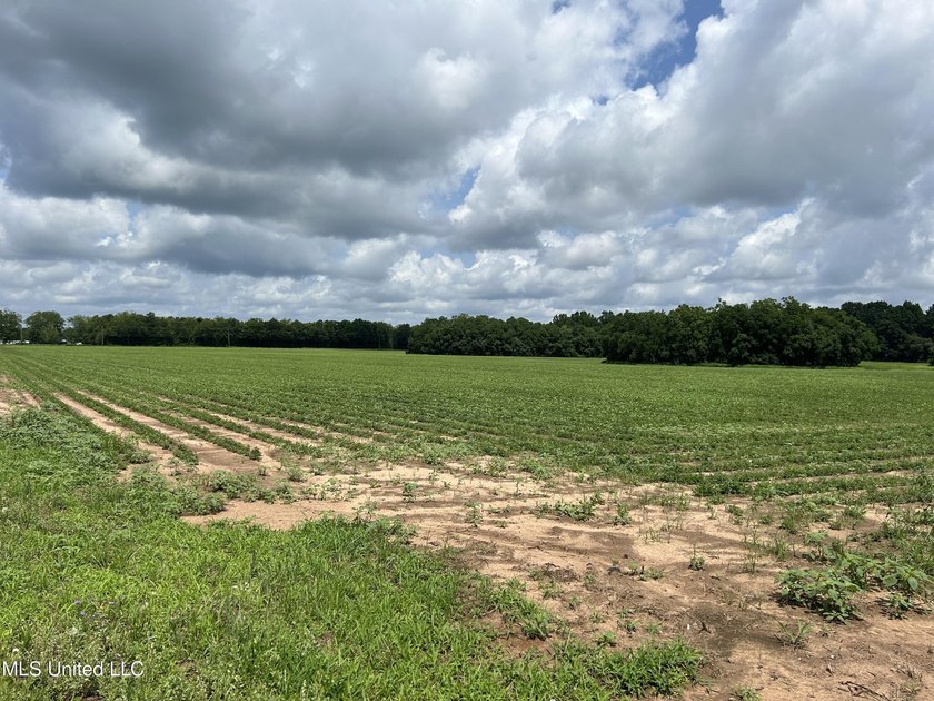 This beautiful 28-acre property in the heart of Agricola offers - photo 2