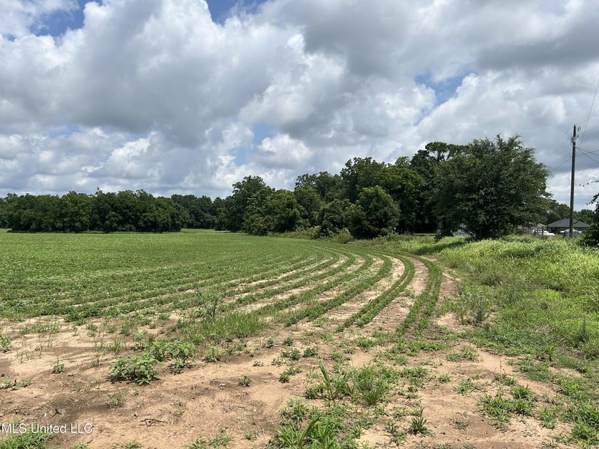 This beautiful 28-acre property in the heart of Agricola offers - photo 3