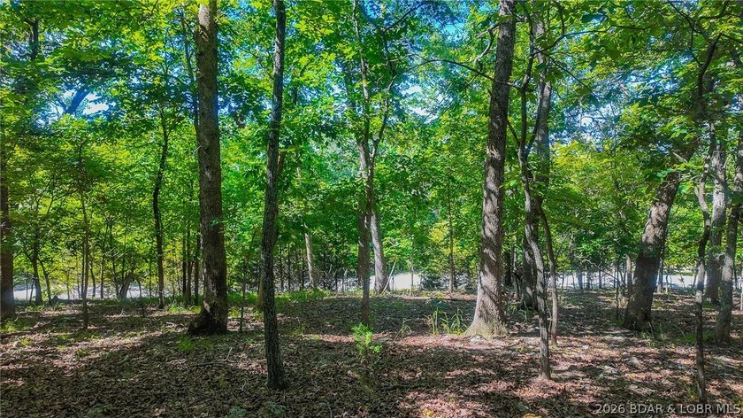 Embrace a fresh opportunity to build your dream retreat on Lot - photo 11