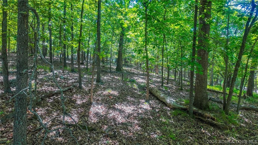 Embrace a fresh opportunity to build your dream retreat on Lot - photo 12