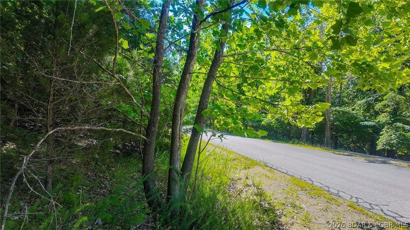 Embrace a fresh opportunity to build your dream retreat on Lot - photo 15