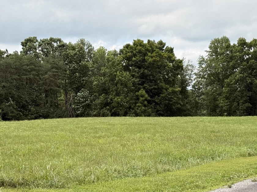 Build your dream home on this beautiful 1-acre lot located in - photo 11