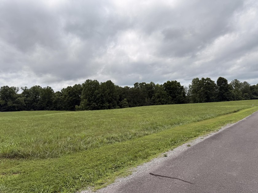Build your dream home on this beautiful 1-acre lot located in - photo 17