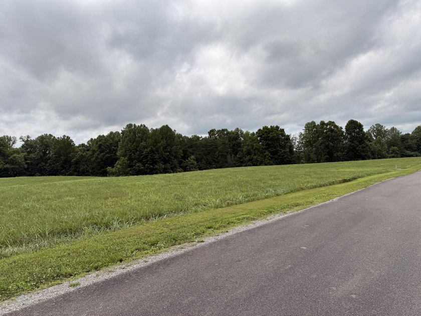 Build your dream home on this beautiful 1-acre lot located in - photo 18