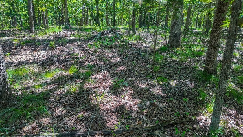 Build your dream home on Muirfield Drive! Discover the perfect - photo 14