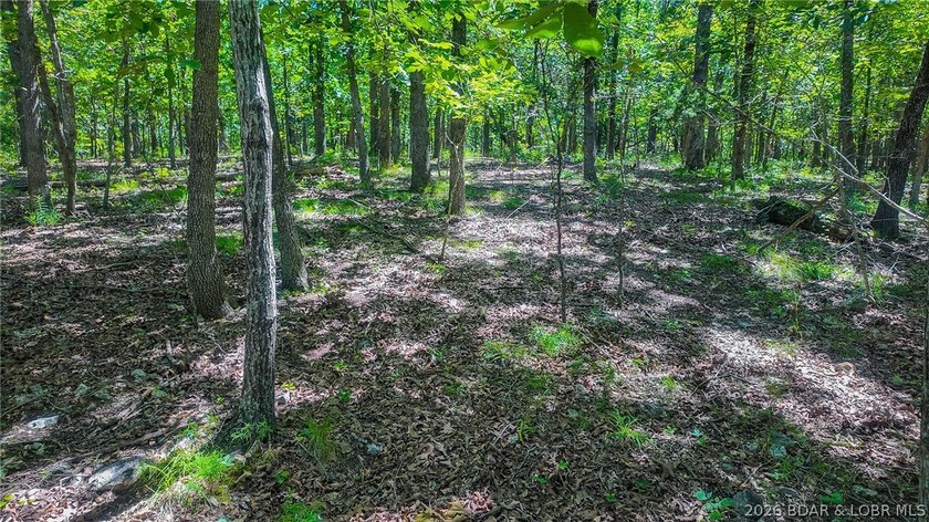 Build your dream home on Muirfield Drive! Discover the perfect - photo 15