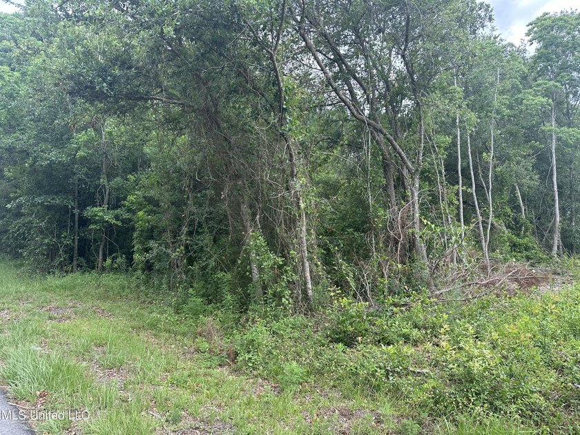 Double lot to build your home on or buy for future investment! - photo 4