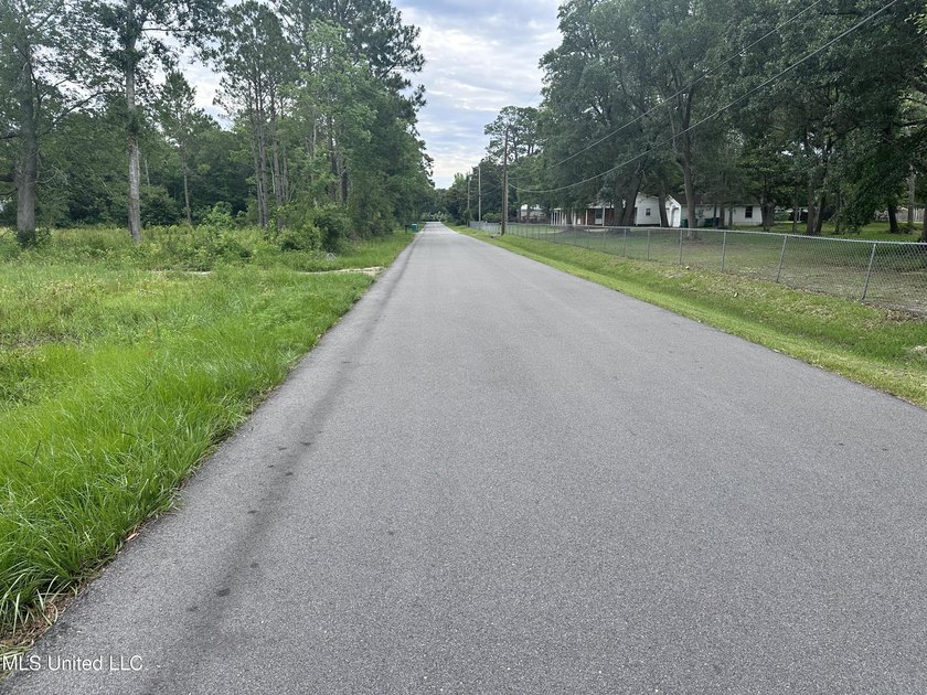 Double lot to build your home on or buy for future investment! - photo 5