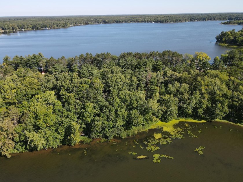 This 1.3-acre wooded lot offers 258 feet of pristine lakeshore - photo 2