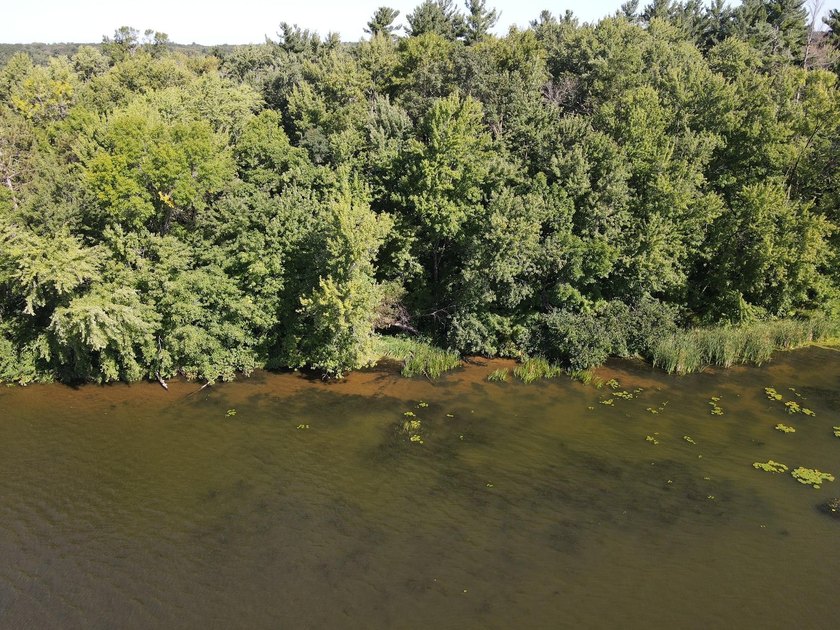 This 1.3-acre wooded lot offers 258 feet of pristine lakeshore - photo 5