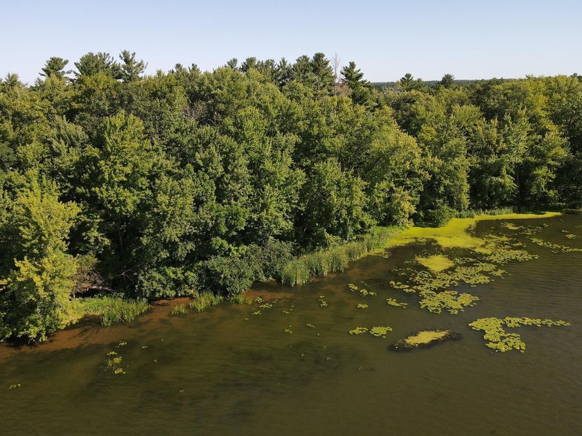 This 1.3-acre wooded lot offers 258 feet of pristine lakeshore - photo 6