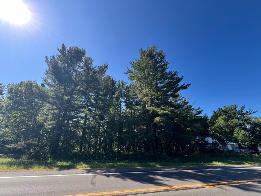 This 1.3-acre wooded lot offers 258 feet of pristine lakeshore - photo 7