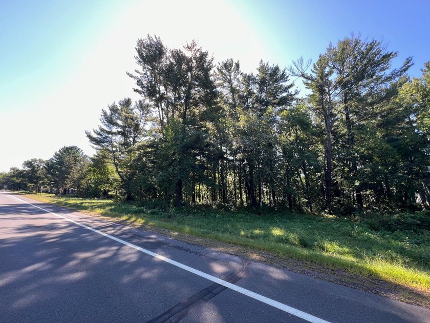 This 1.3-acre wooded lot offers 258 feet of pristine lakeshore - photo 8