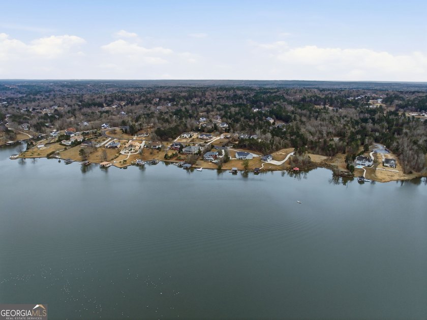If you've been waiting for the right opportunity to own a lake - photo 47