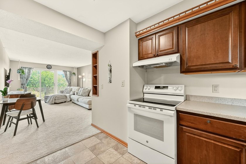 Enjoy downtown Rochester living in this spacious 2-bedroom - photo 9