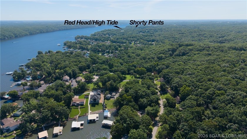 Rare as Hens teeth, this almost 100 ft of moderate shoreline - photo 12