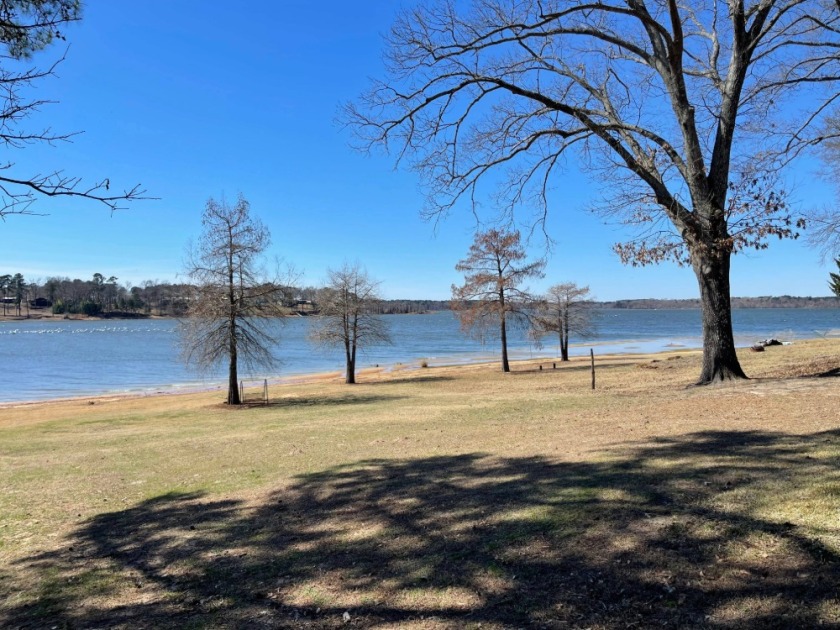 View - photo 26