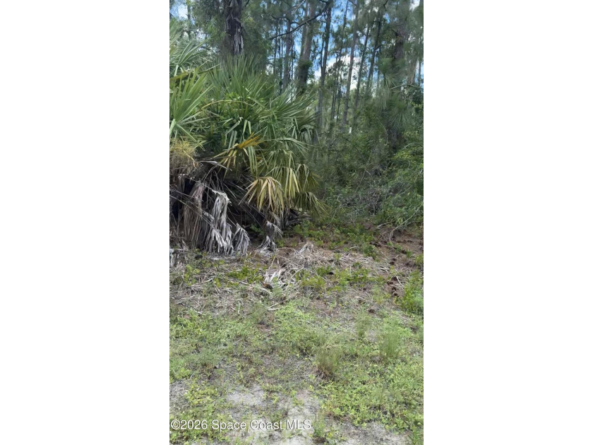 Build your dream home on this beautiful, buildable vacant lot - photo 3