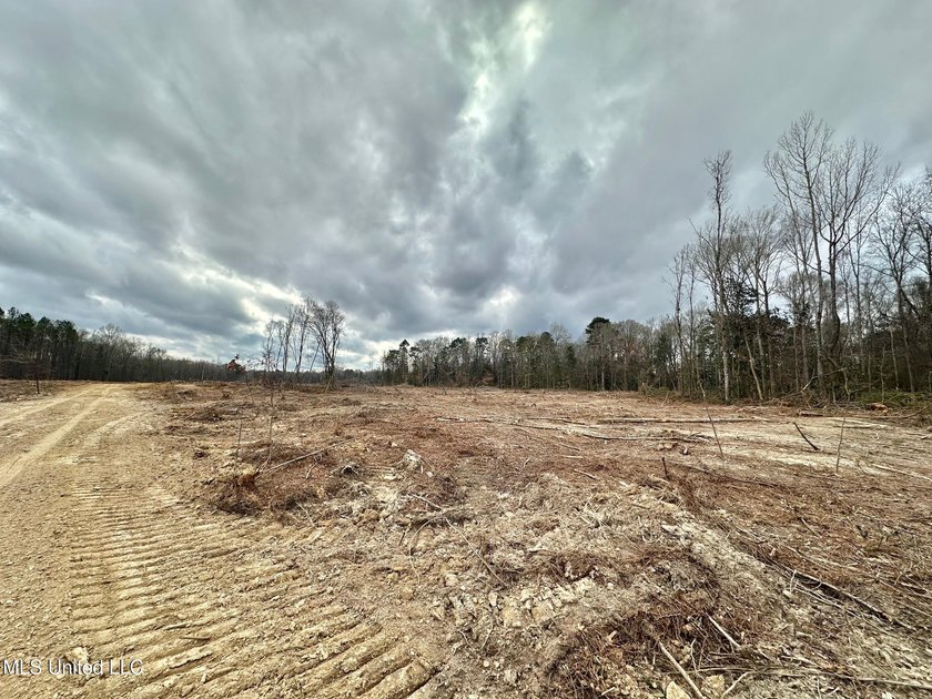 +/- 79.6 acres just south of the Rankin/Simpson line in Simpson - photo 11