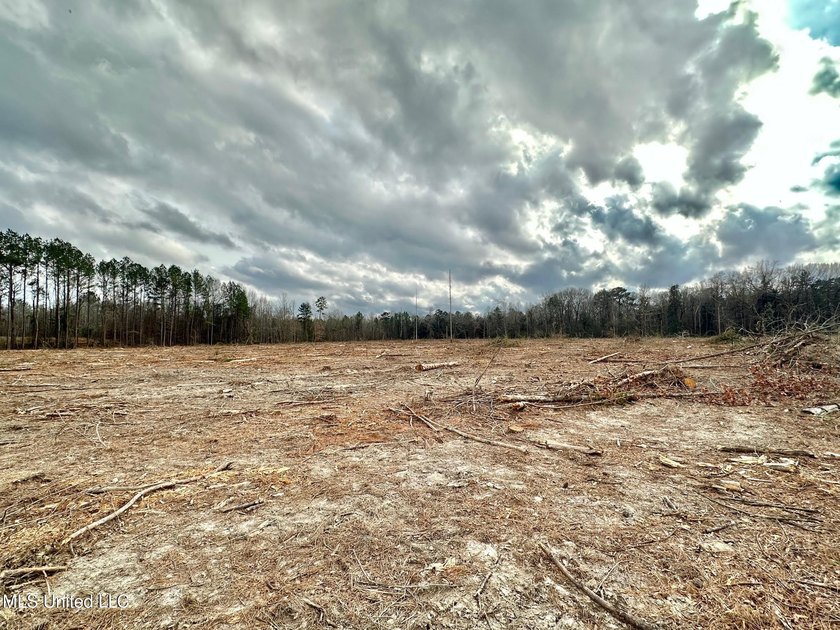 +/- 79.6 acres just south of the Rankin/Simpson line in Simpson - photo 20