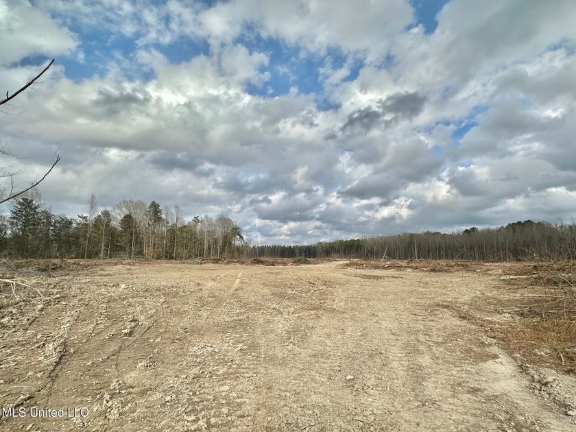 +/- 79.6 acres just south of the Rankin/Simpson line in Simpson - photo 22