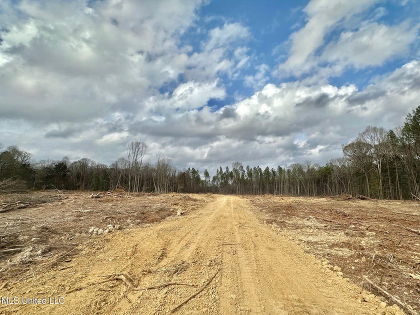 +/- 79.6 acres just south of the Rankin/Simpson line in Simpson - photo 23