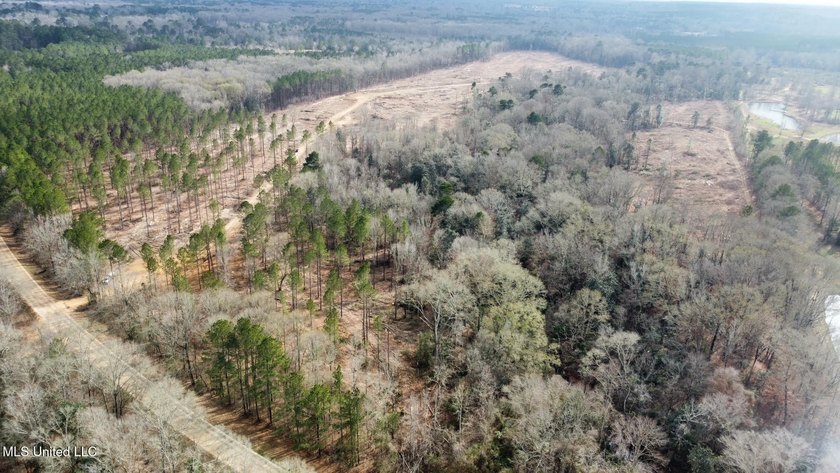 +/- 79.6 acres just south of the Rankin/Simpson line in Simpson - photo 29