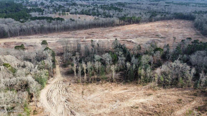 +/- 79.6 acres just south of the Rankin/Simpson line in Simpson - photo 30