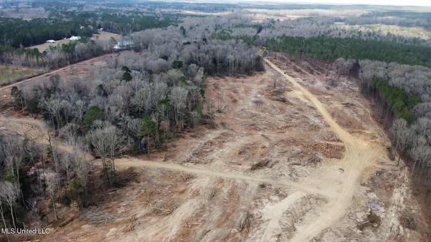 +/- 79.6 acres just south of the Rankin/Simpson line in Simpson - photo 34