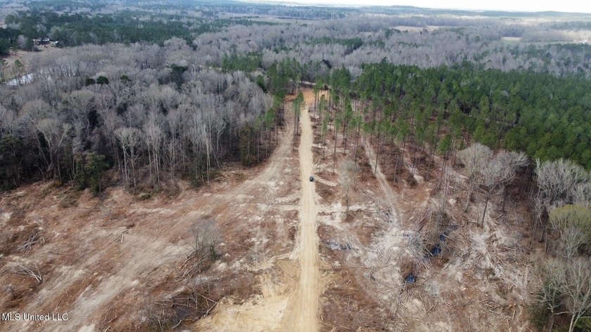 +/- 79.6 acres just south of the Rankin/Simpson line in Simpson - photo 35