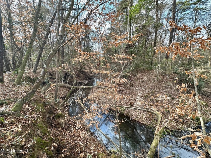 +/- 79.6 acres just south of the Rankin/Simpson line in Simpson - photo 37