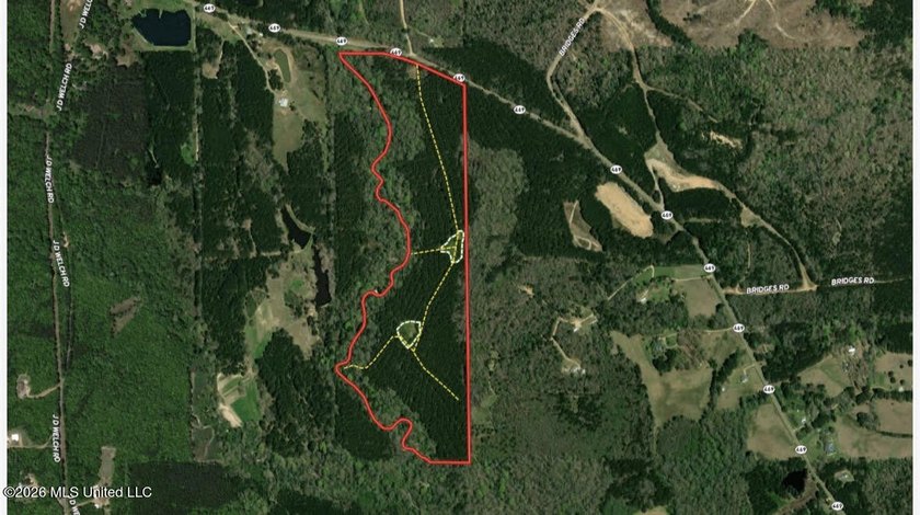 +/- 79.6 acres just south of the Rankin/Simpson line in Simpson - photo 40