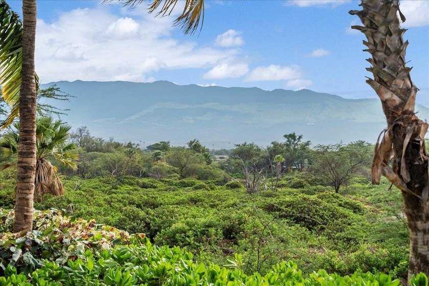 Welcome to Kai Ani Village, Unit 15-101, situated in the heart - photo 43
