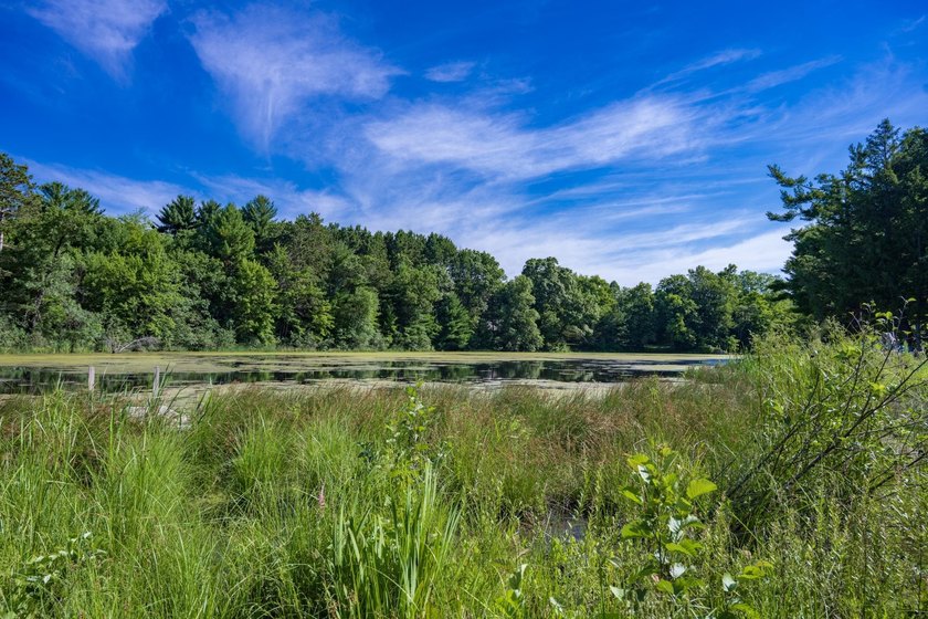 Escape to this charming Lake Front cabin, nestled on 1.7 acres - photo 34