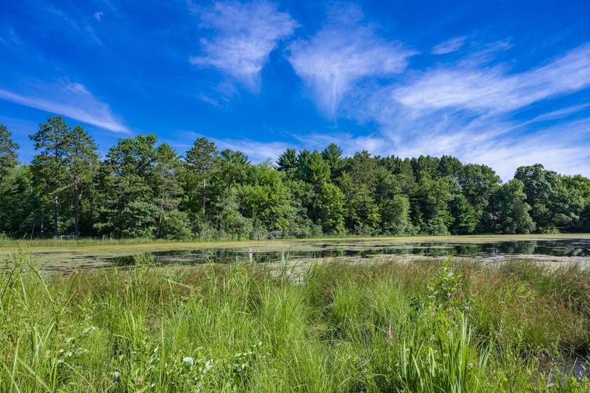Escape to this charming Lake Front cabin, nestled on 1.7 acres - photo 37