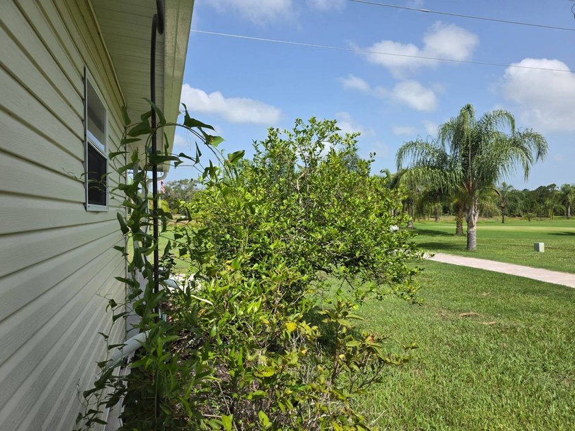 This Home Is Immaculate! No Neighbors Behind and Overlooks The - photo 8