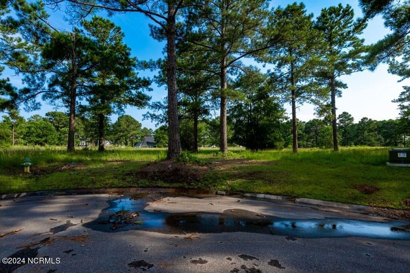 Positioned along a tranquil pond in the sought-after Haddington - photo 15